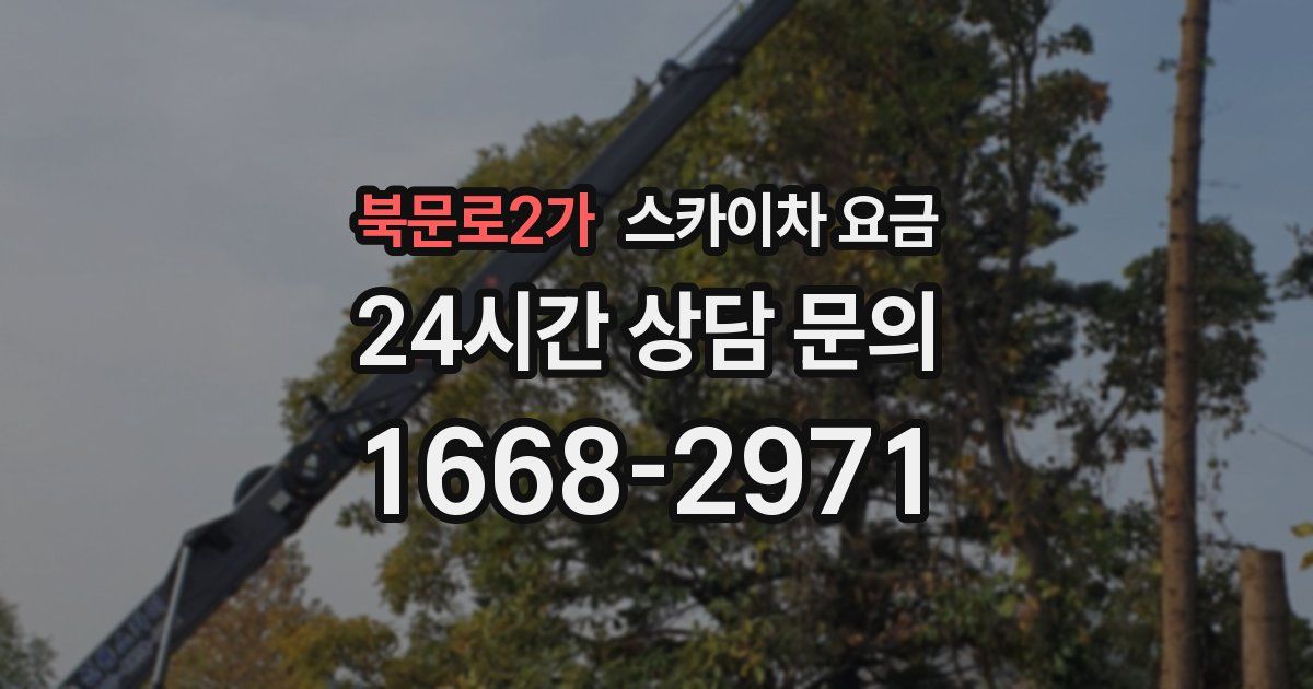 북문로2가 스카이차 요금