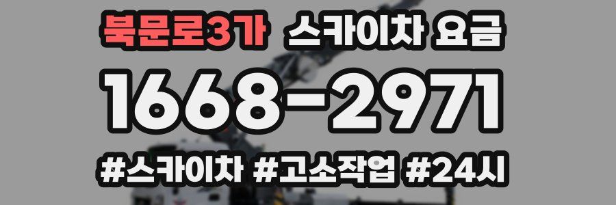 북문로3가 스카이차 요금