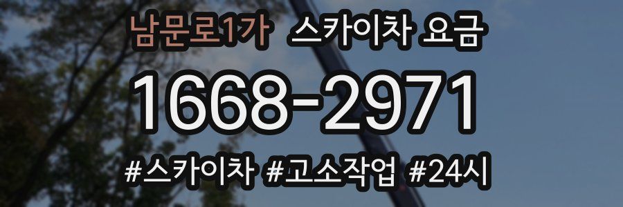 남문로1가 스카이차 요금