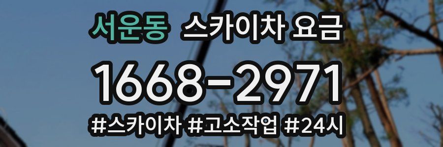 서운동 스카이차 요금