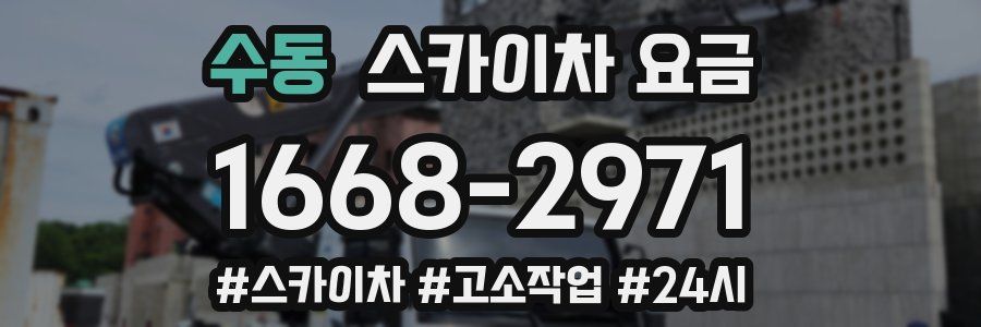 수동 스카이차 요금
