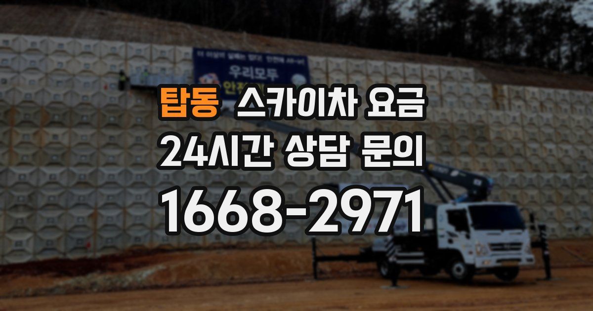 탑동 스카이차 요금