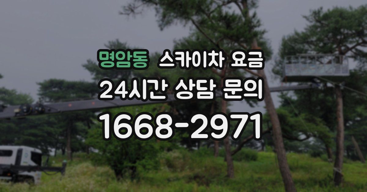 명암동 스카이차 요금