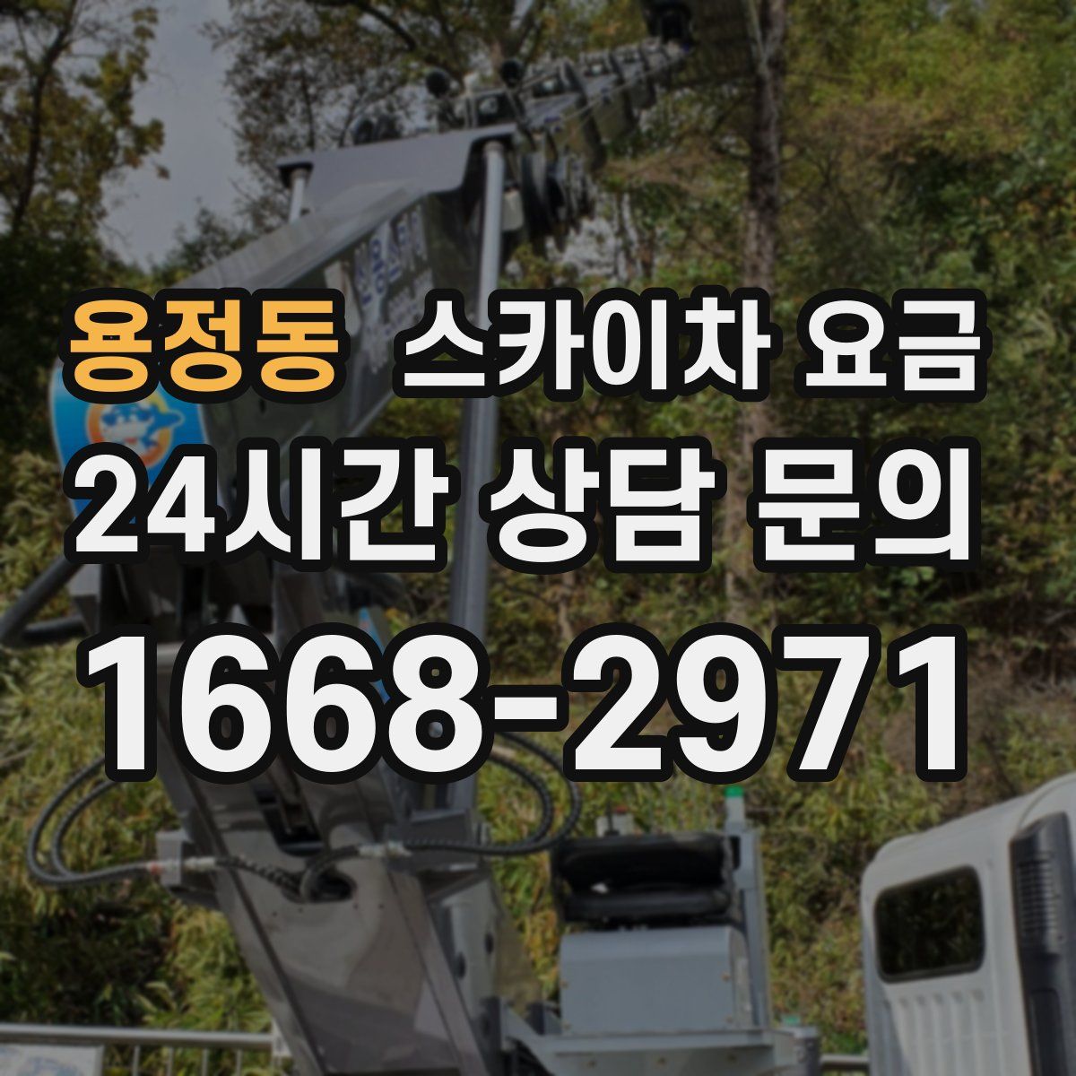 용정동 스카이차 요금