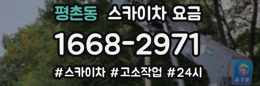 평촌동 스카이차 요금