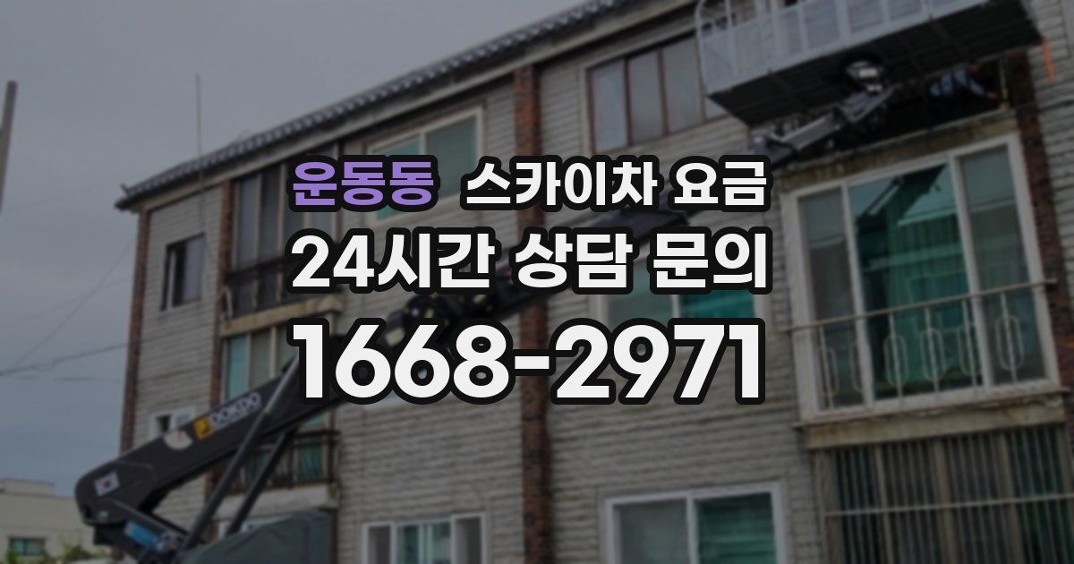 운동동 스카이차 요금