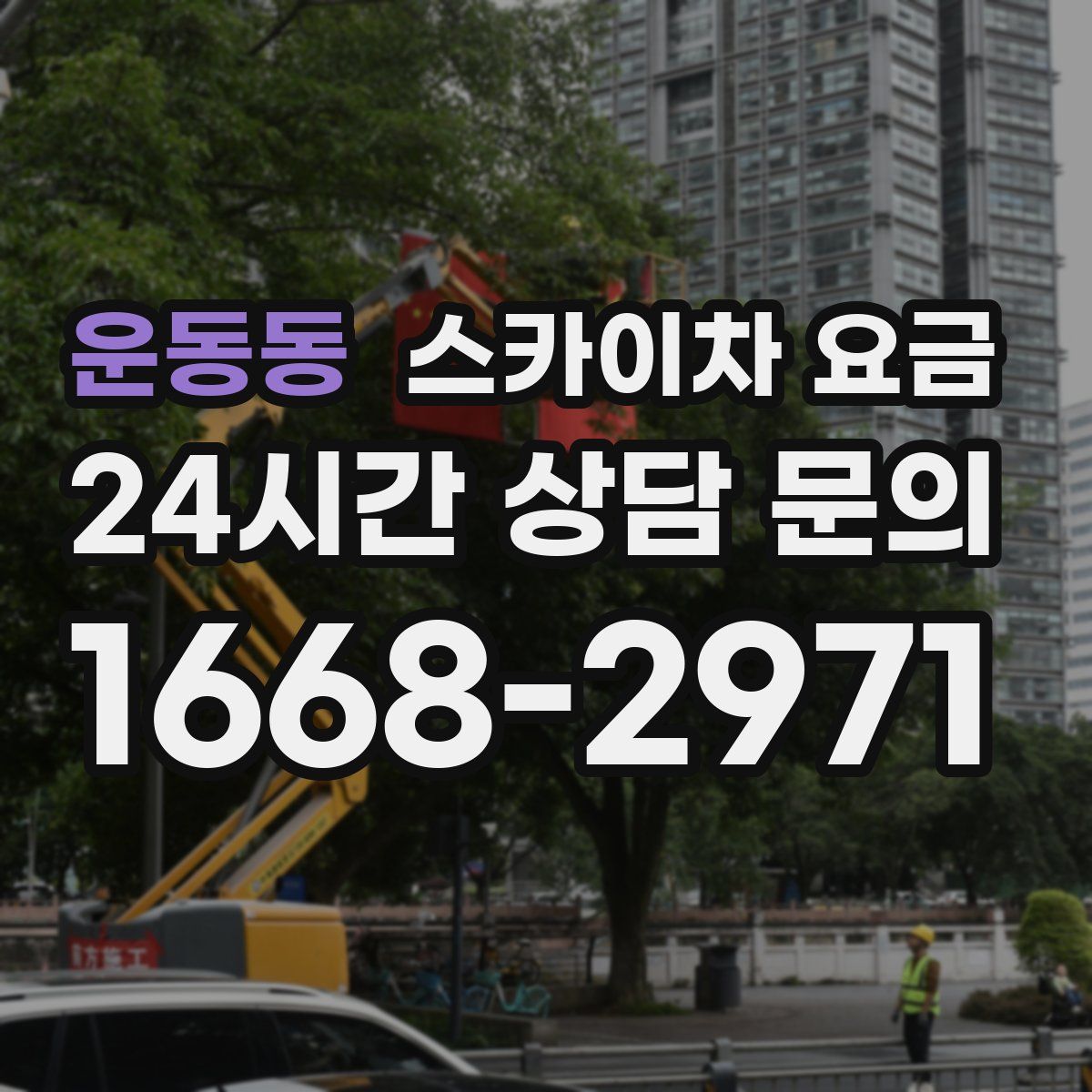 운동동 스카이차 요금