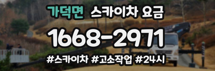 가덕면 스카이차 요금