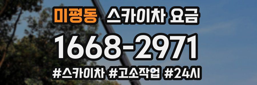 미평동 스카이차 요금