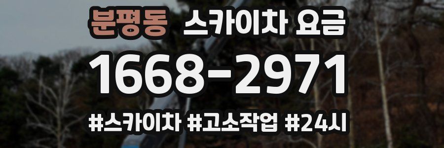 분평동 스카이차 요금