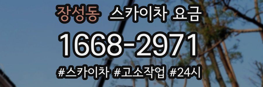 장성동 스카이차 요금