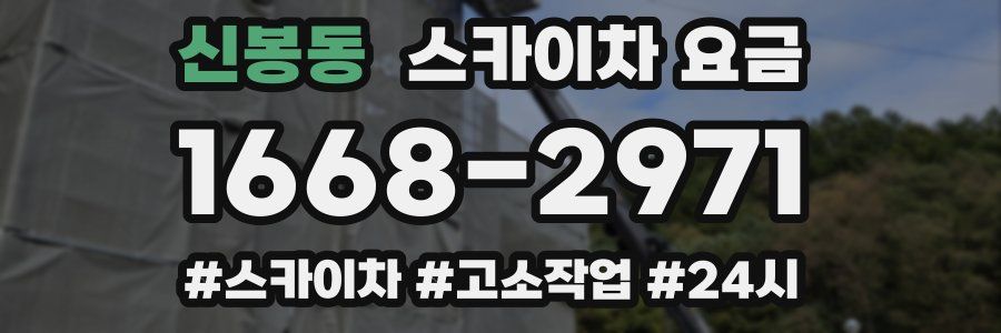 신봉동 스카이차 요금