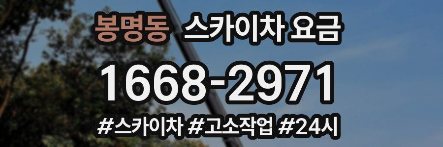 봉명동 스카이차 요금