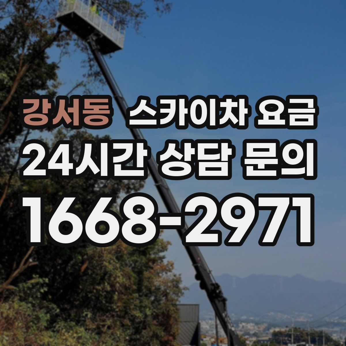 강서동 스카이차 요금