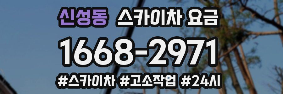 신성동 스카이차 요금