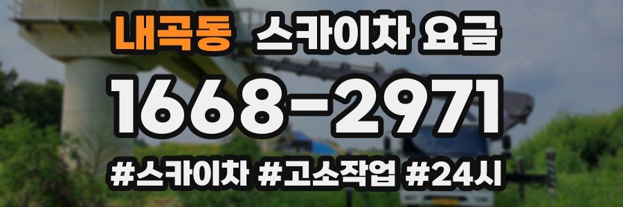 내곡동 스카이차 요금