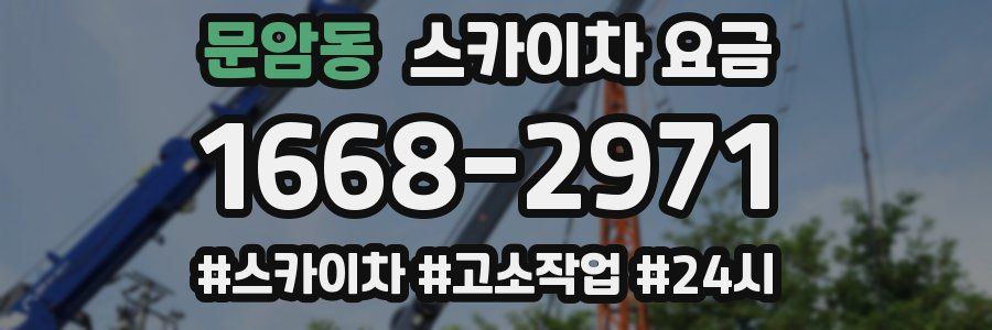 문암동 스카이차 요금