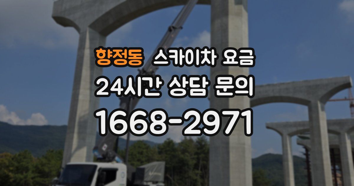 향정동 스카이차 요금