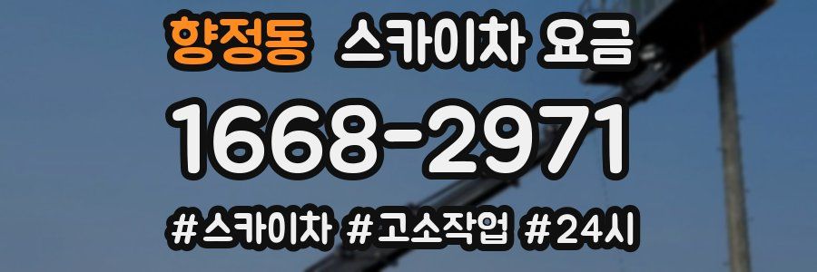 향정동 스카이차 요금