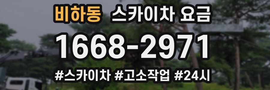 비하동 스카이차 요금