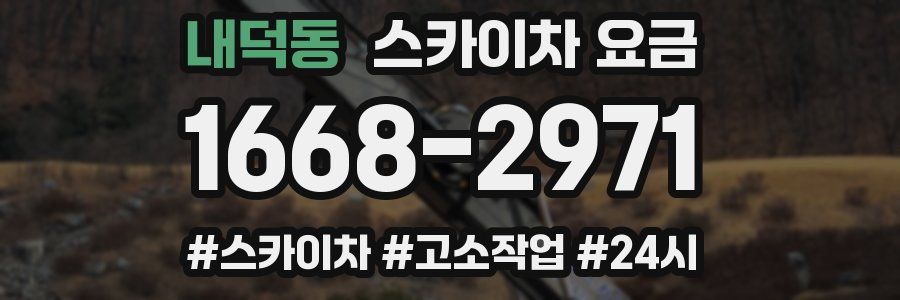 내덕동 스카이차 요금