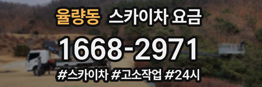 율량동 스카이차 요금
