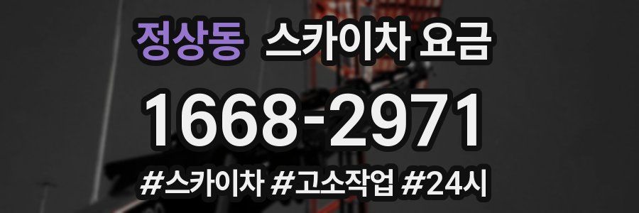 정상동 스카이차 요금