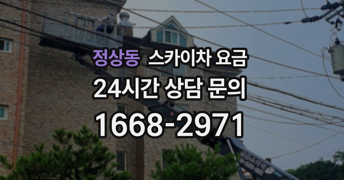 정상동 스카이차 요금