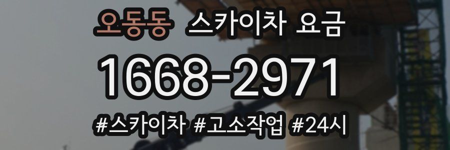 오동동 스카이차 요금