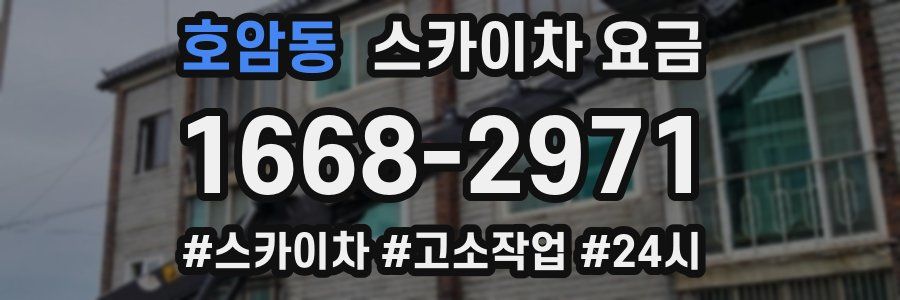 호암동 스카이차 요금