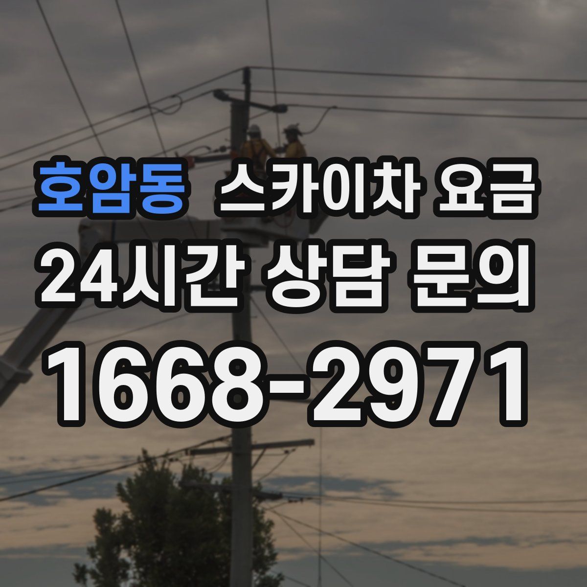 호암동 스카이차 요금