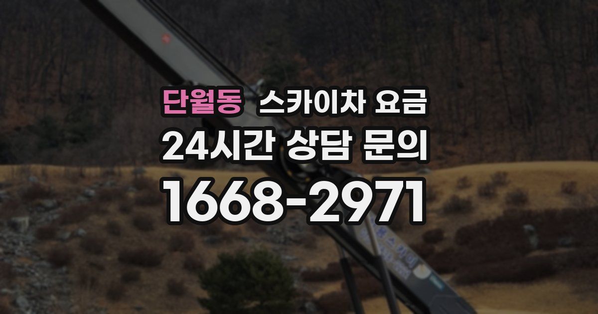 단월동 스카이차 요금