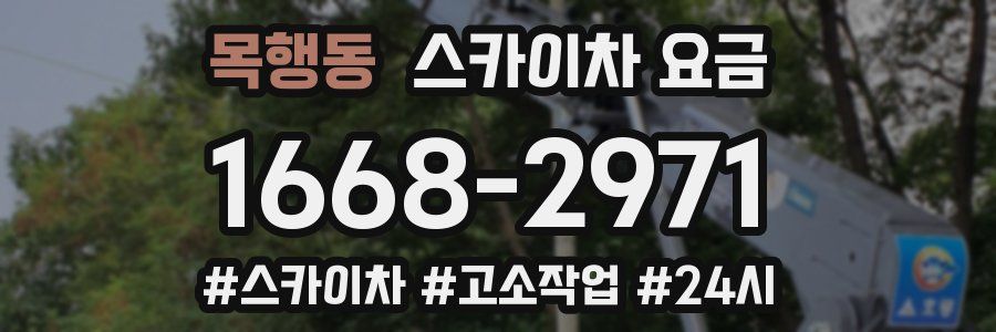 목행동 스카이차 요금