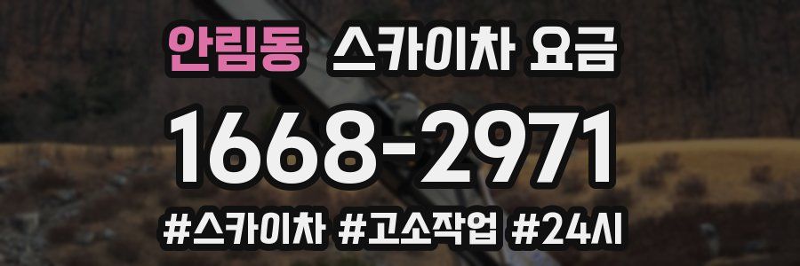 안림동 스카이차 요금