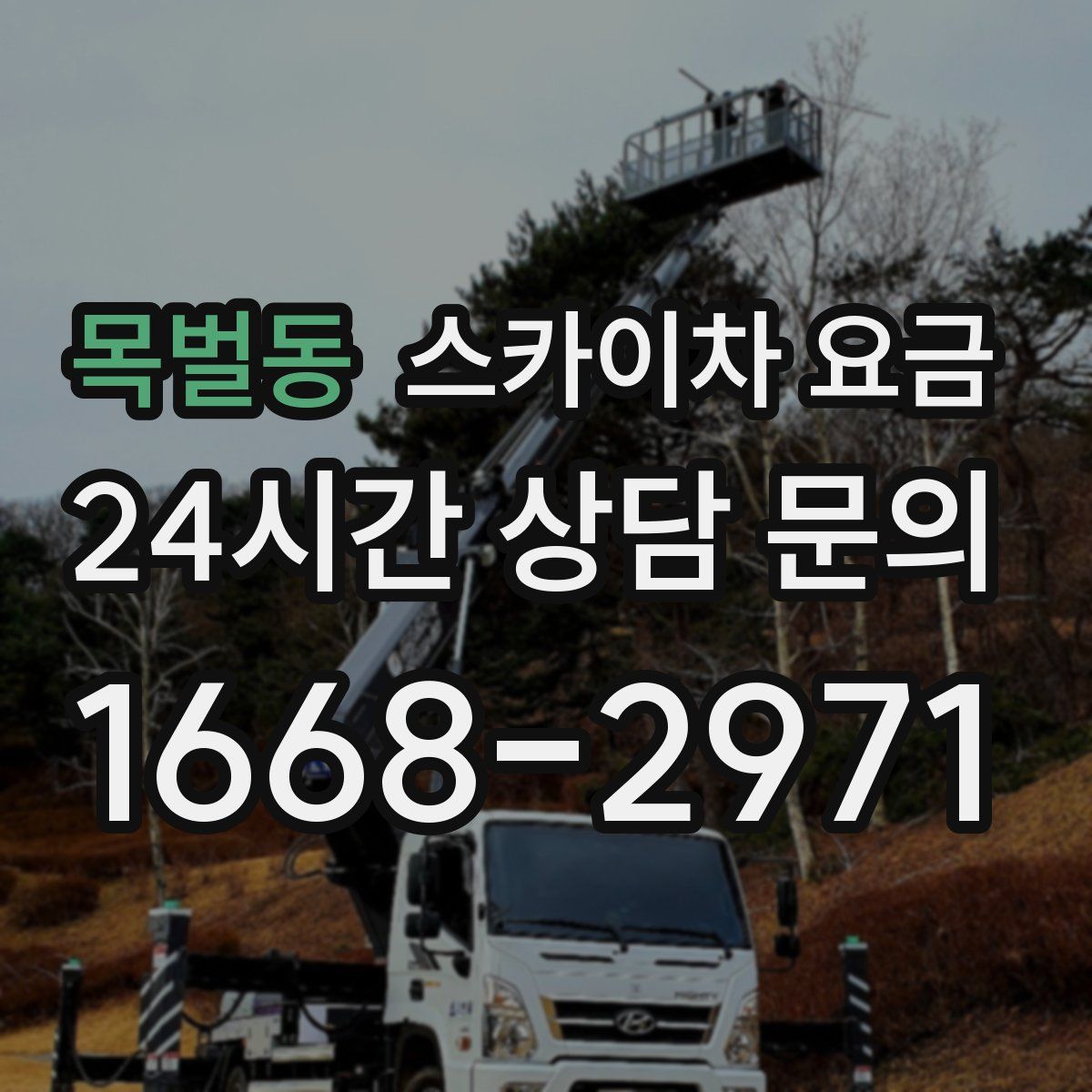 목벌동 스카이차 요금