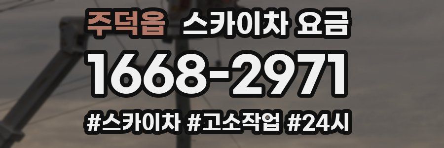 주덕읍 스카이차 요금