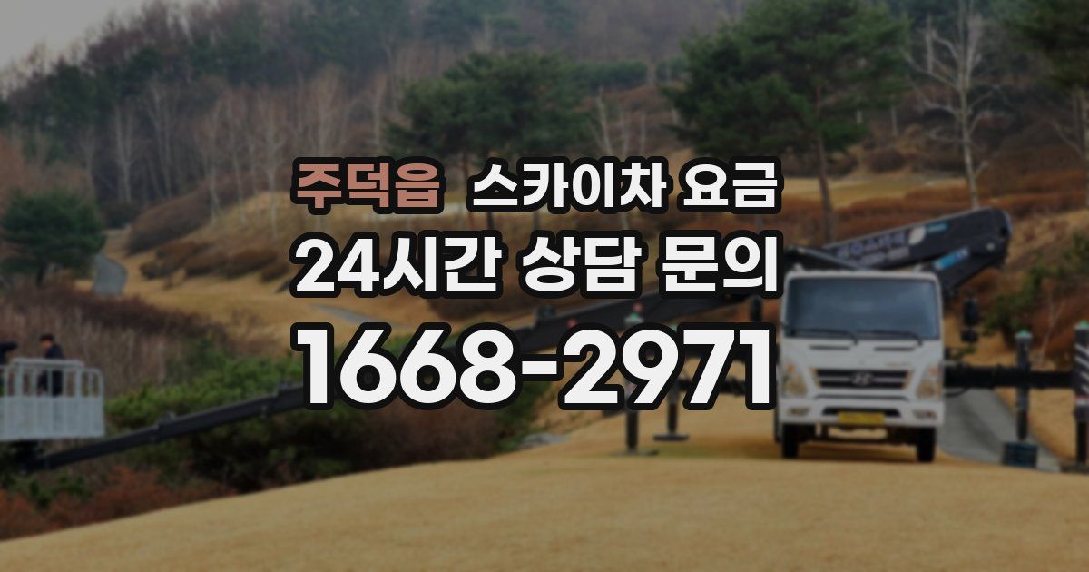 주덕읍 스카이차 요금
