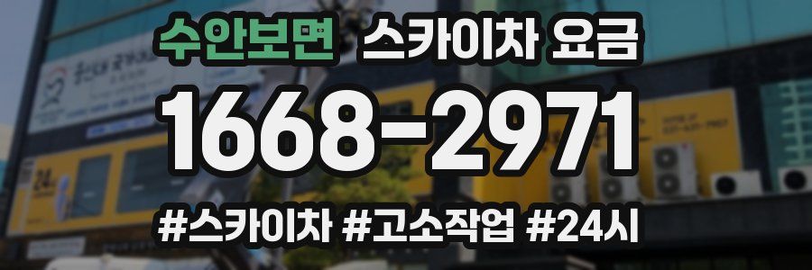 수안보면 스카이차 요금