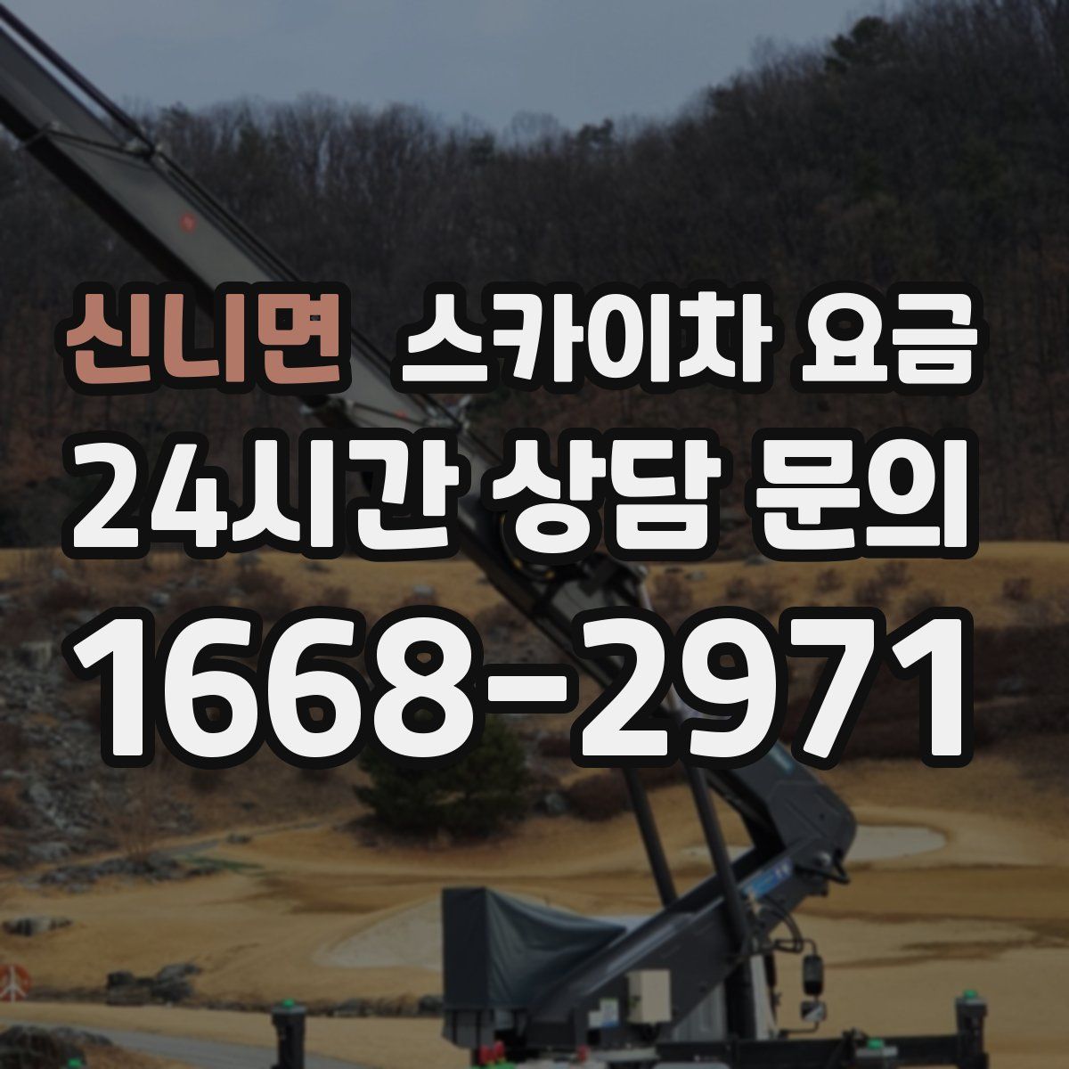 신니면 스카이차 요금