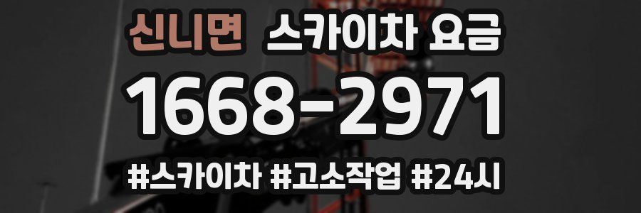신니면 스카이차 요금