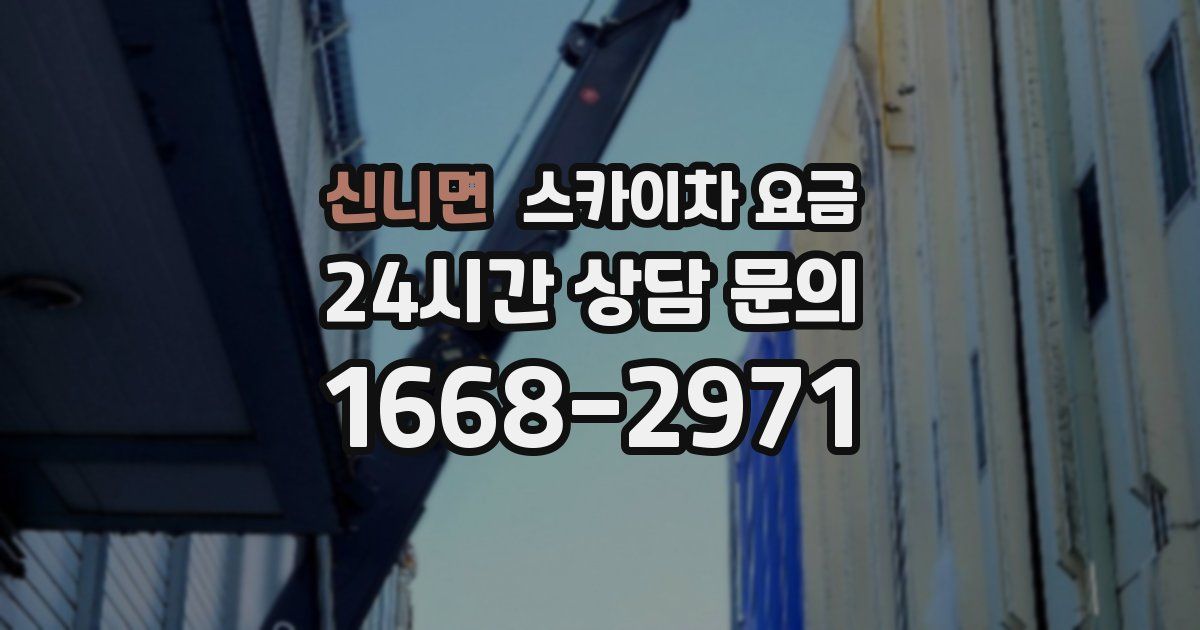 신니면 스카이차 요금