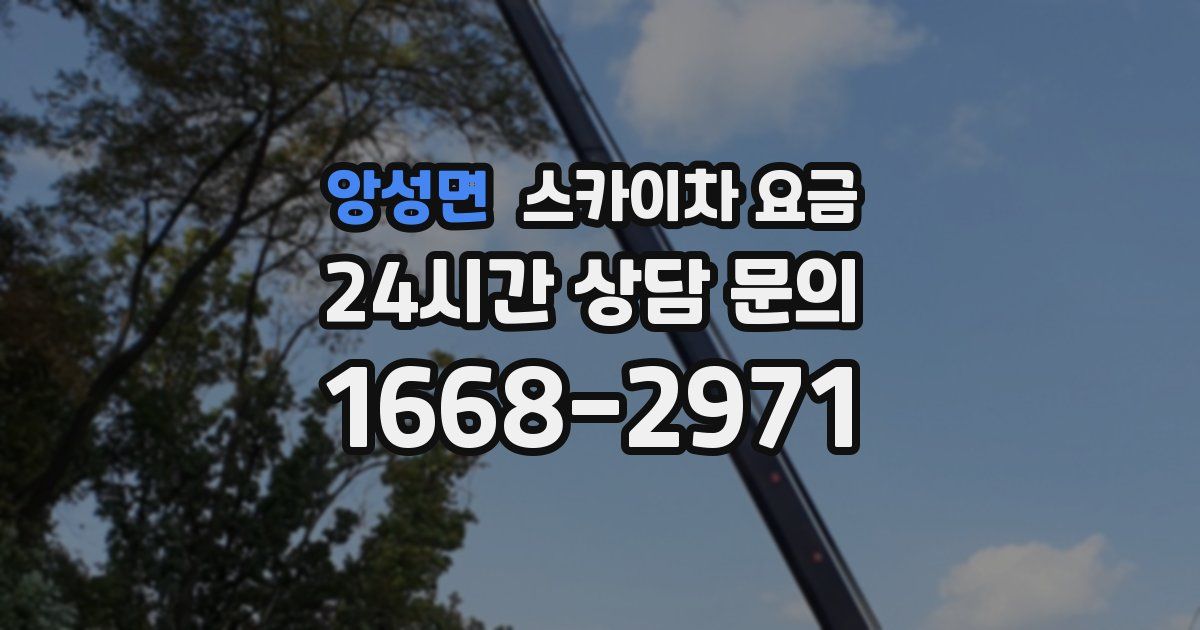 앙성면 스카이차 요금