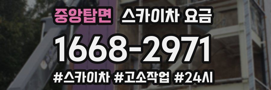 중앙탑면 스카이차 요금