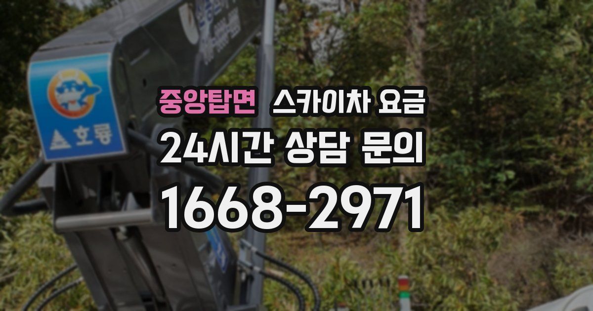 중앙탑면 스카이차 요금