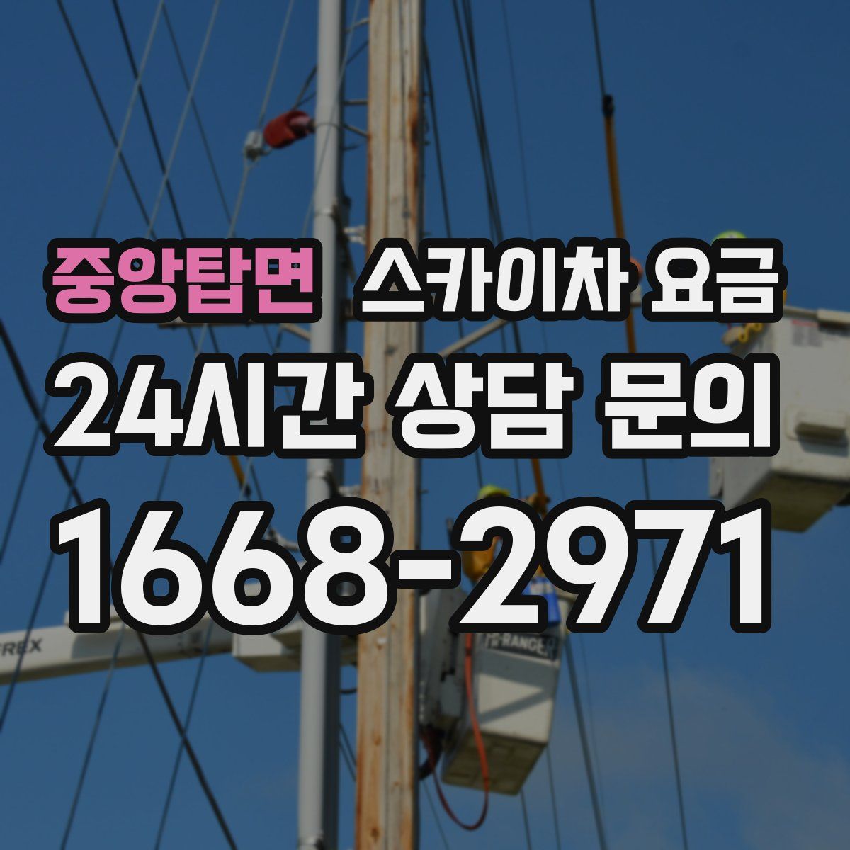 중앙탑면 스카이차 요금