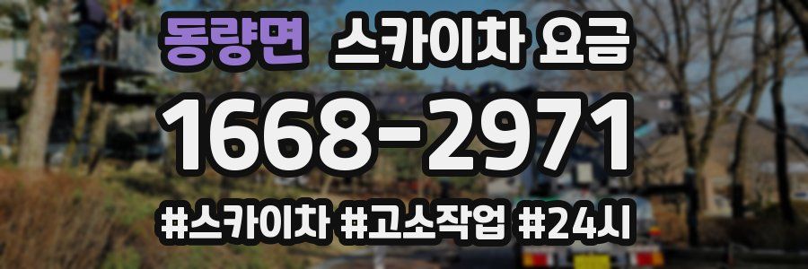 동량면 스카이차 요금