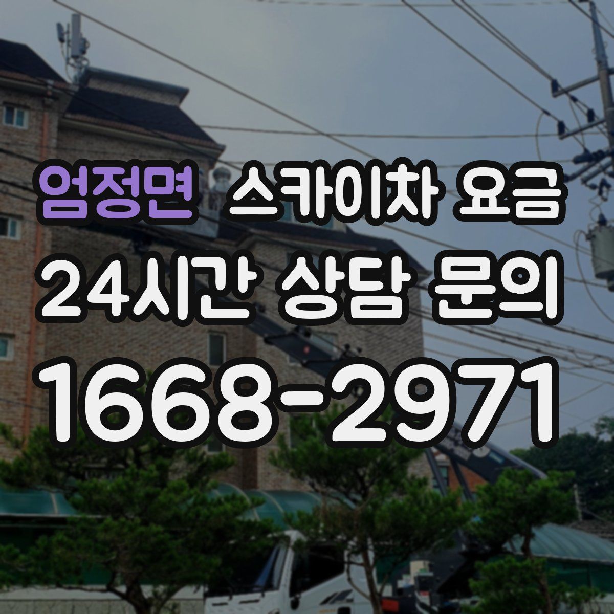 엄정면 스카이차 요금
