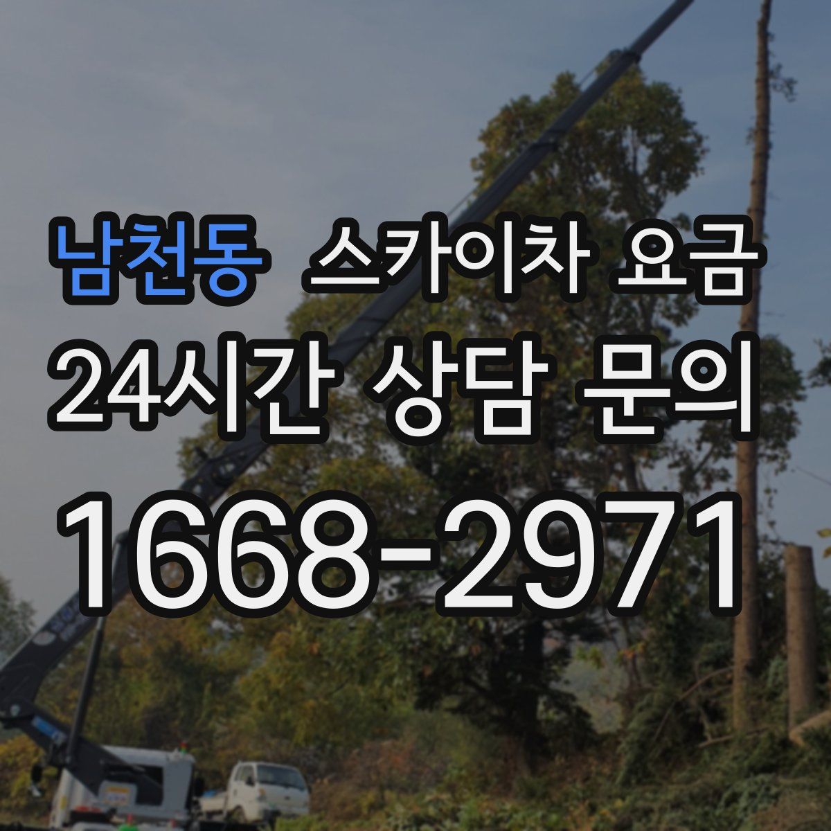 남천동 스카이차 요금