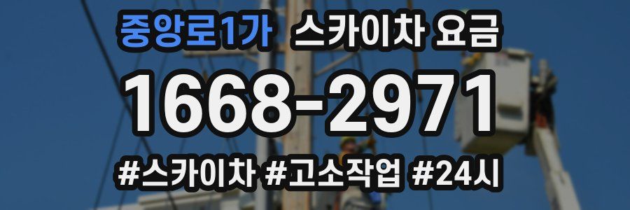 중앙로1가 스카이차 요금