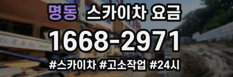 명동 스카이차 요금